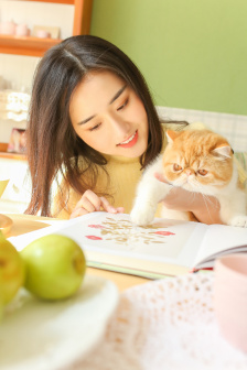 姑娘免费观看完整版高清中文